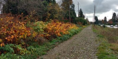 Tranquil urban exploration along former Arbutus railbed/Naomi Reichstein photo