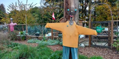 Scarecrow at an urban farm in Kerrisdale along the Arbutus Greenway, Vancouver/Naomi Reichstein photo