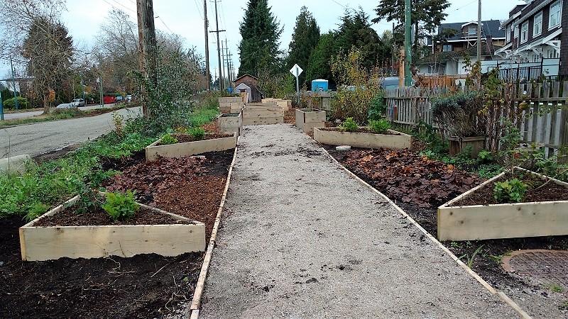 Urban farm bordering Arbutus Greenway at 57th Avenue, Vancouver/Naomi Reichstein photo