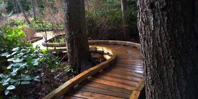 Boardwalk extension through southeastern grove of Camosun Bog/Naomi Reichstein photo