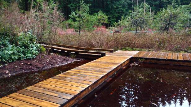 Without guardrails, the new boardwalk allows close observation of life at the water/Naomi Reichstein photo