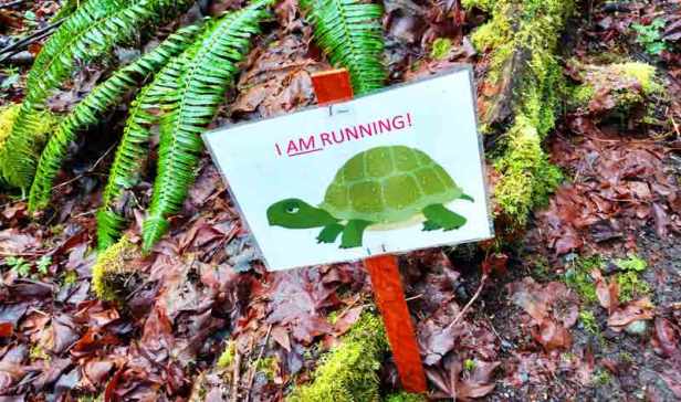 Motivational "turtle" sign on the Chuckanut 50k race/Naomi Reichstein photo