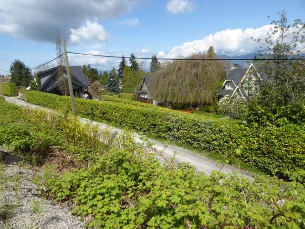 View over terraced hillsides from the Arbutus Greenway to the North Shore Mountains. Photo: Naomi Reichstein
